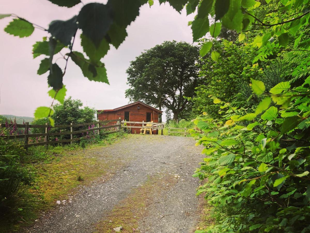 Cabin Pren , Darowen , Machynlleth 아파트 외부 사진